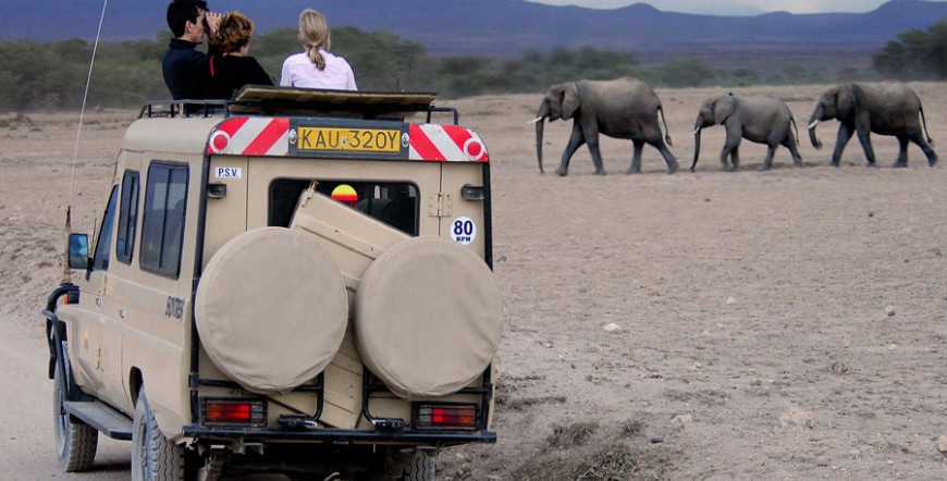 Amboseli National Park Safari