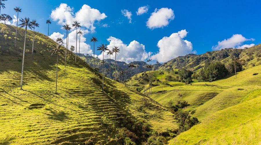 Colombia