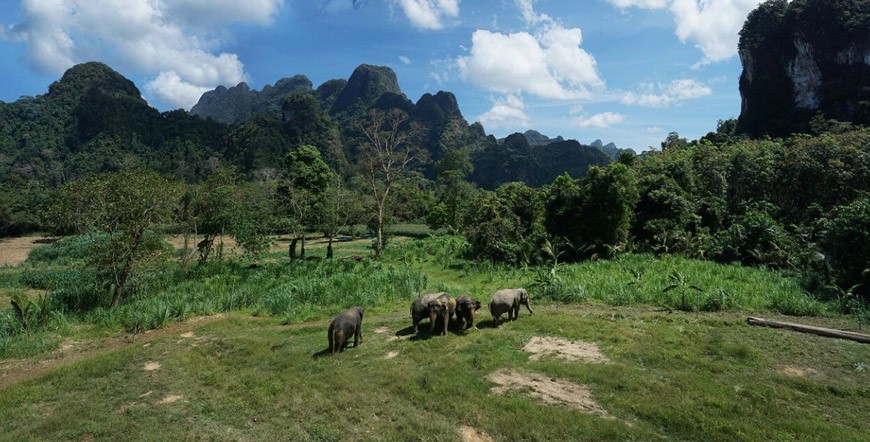 elephant hills jungle safari phuket