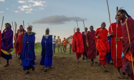 Serengeti Serena Safari Join-In