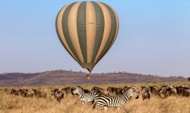 Tanzania Out of Africa Join-In Safari