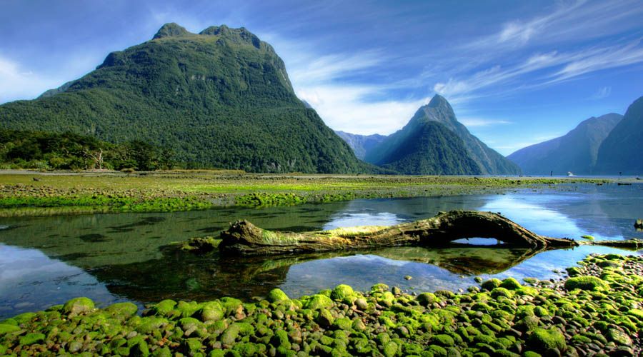 New Zealand