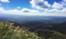 Yangmingshan National Park & Hot-Spring Tour