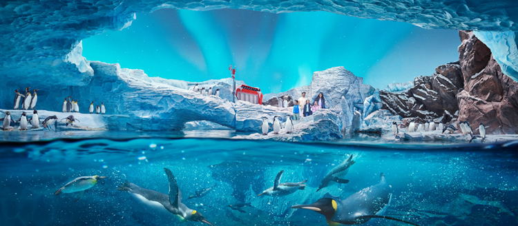 Seaworld® Yas Island, Abu Dhabi